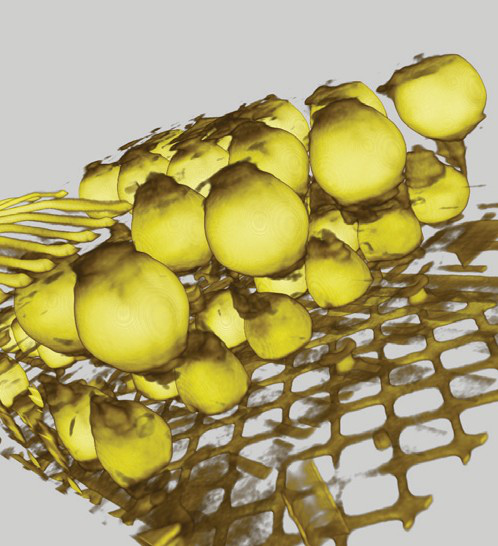 射線(xiàn)檢測(cè)系統(tǒng)圖片/射線(xiàn)檢測(cè)系統(tǒng)樣板圖 (4)