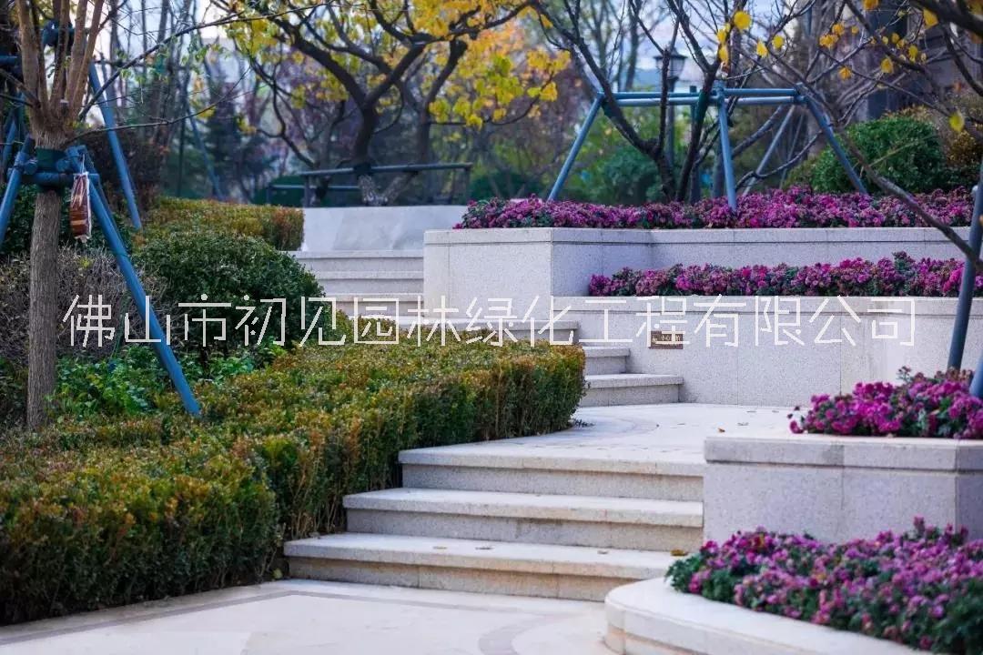 供應(yīng)珠海園林綠化施工以及養(yǎng)護(hù)圖片