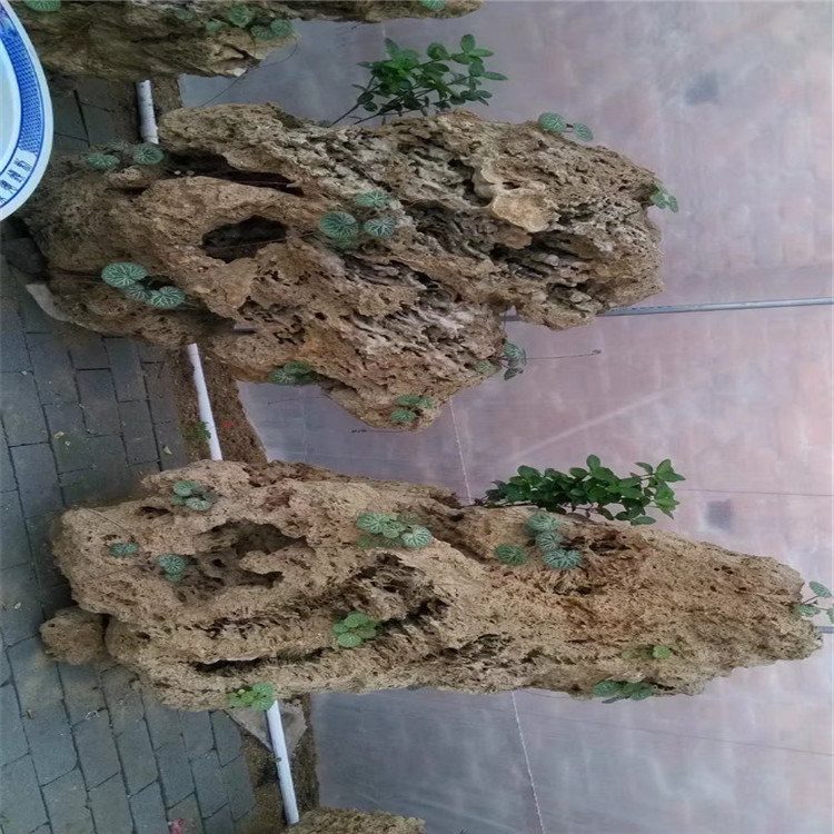 陽臺假山石 觀賞石奇石廠家供應圖片
