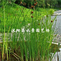 江蘇宿遷圖片/江蘇宿遷樣板圖 (4)