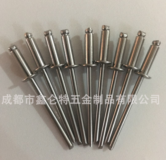 扁圓頭抽芯鉚釘圖片/扁圓頭抽芯鉚釘樣板圖 (3)