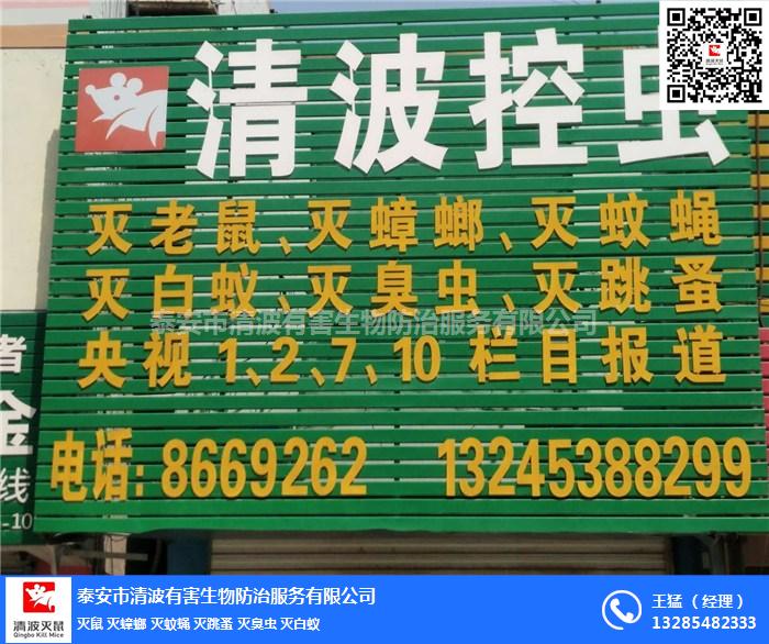 飯店滅老鼠滅蟑螂藥有哪些泰安清波圖片