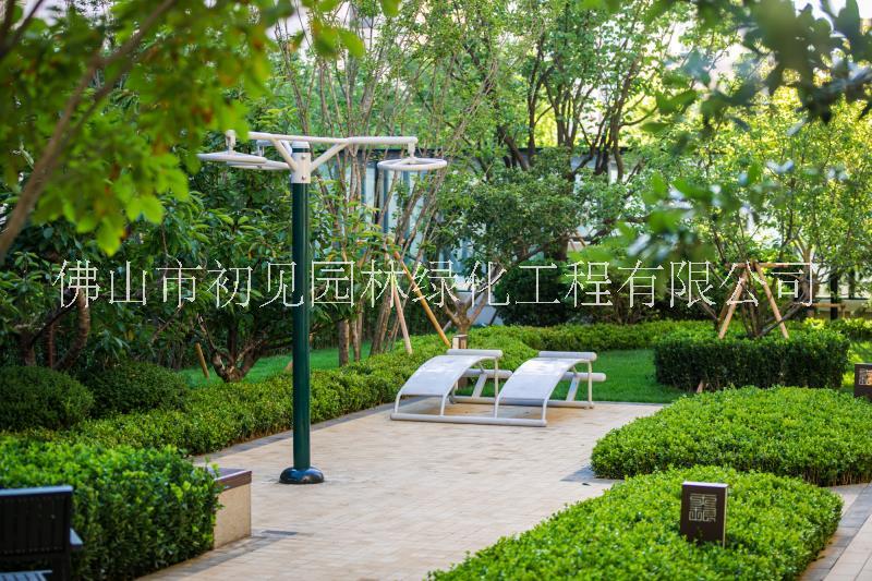 佛山綠化養(yǎng)護(hù)管理標(biāo)準(zhǔn)找初見園林圖片