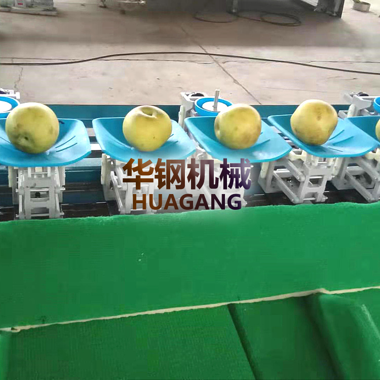選果機(jī)廠家,水果自動上果分選設(shè)備