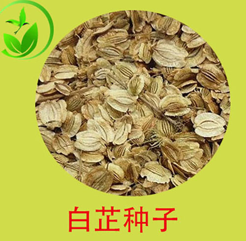 純新白芷種子 中藥材種子白芷子 白芷籽 白芷種子量大優(yōu)惠