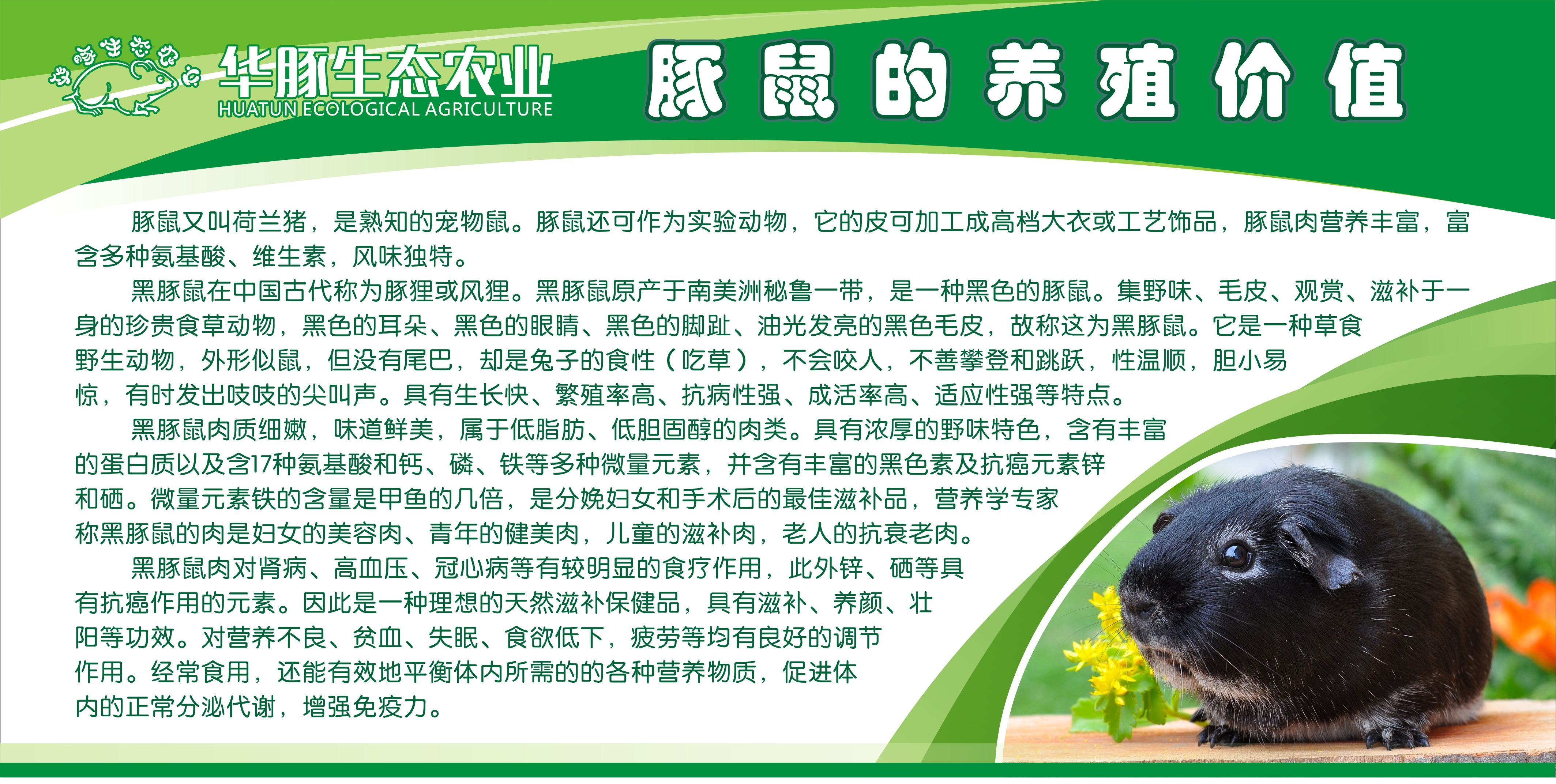 生態(tài)農(nóng)業(yè)圖片/生態(tài)農(nóng)業(yè)樣板圖 (2)
