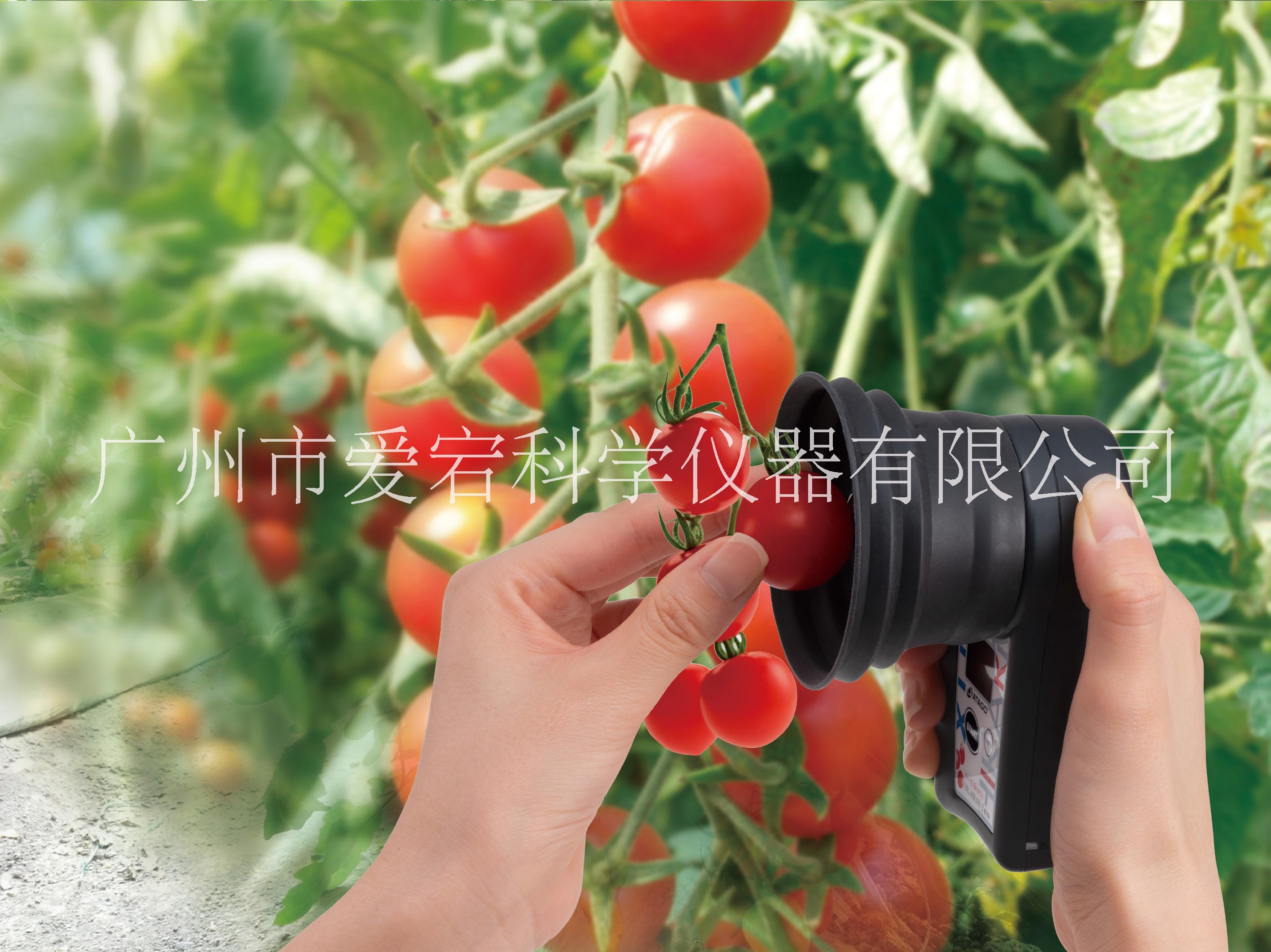 糖度計(jì)圖片/糖度計(jì)樣板圖 (2)