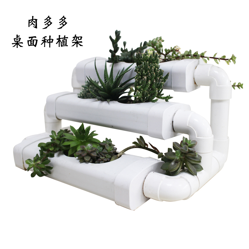 多肉基質(zhì)種植架肉多多圖片/多肉基質(zhì)種植架肉多多樣板圖 (1)