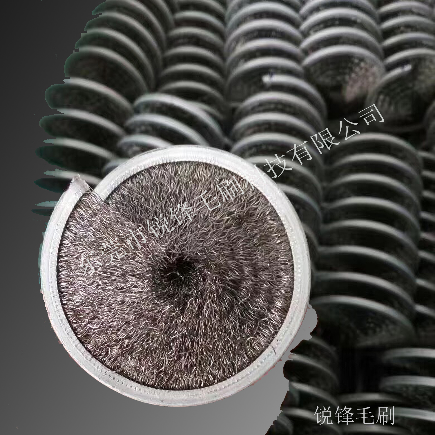 毛毛刷圖片/毛毛刷樣板圖 (4)