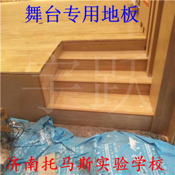 體育運動木地板圖片/體育運動木地板樣板圖 (3)