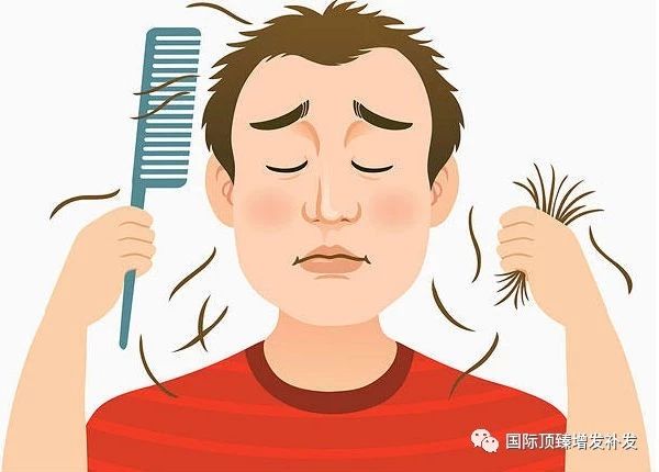 國際頂臻美學(xué)增發(fā)補發(fā)圖片