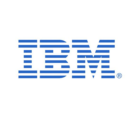 IBM 300GB 10K 12Gbps SAS 2.5