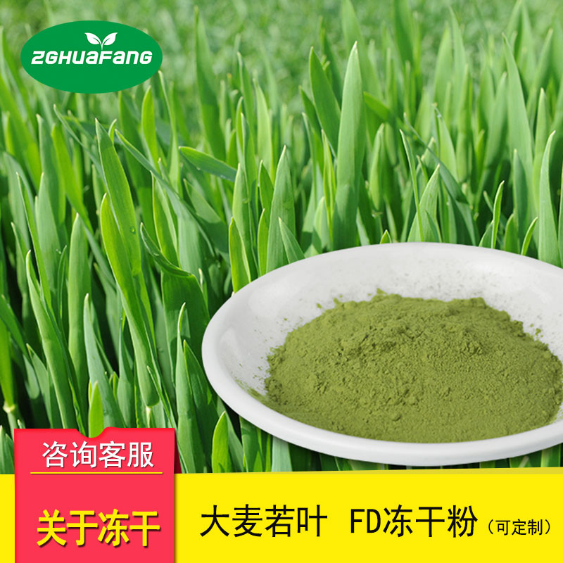 凍干大麥若葉粉 脫水濃縮花草粉圖片