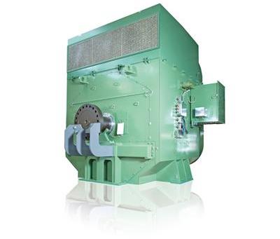 8-40極正壓型直接啟動同步電機圖片