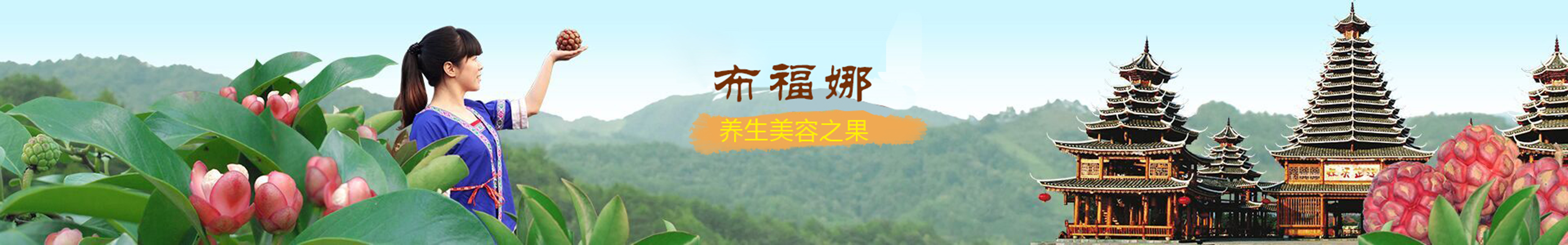 广西杨昌宏布福娜黑老虎杂交苗基地直销批发报价-黑老虎杂交苗种植基地