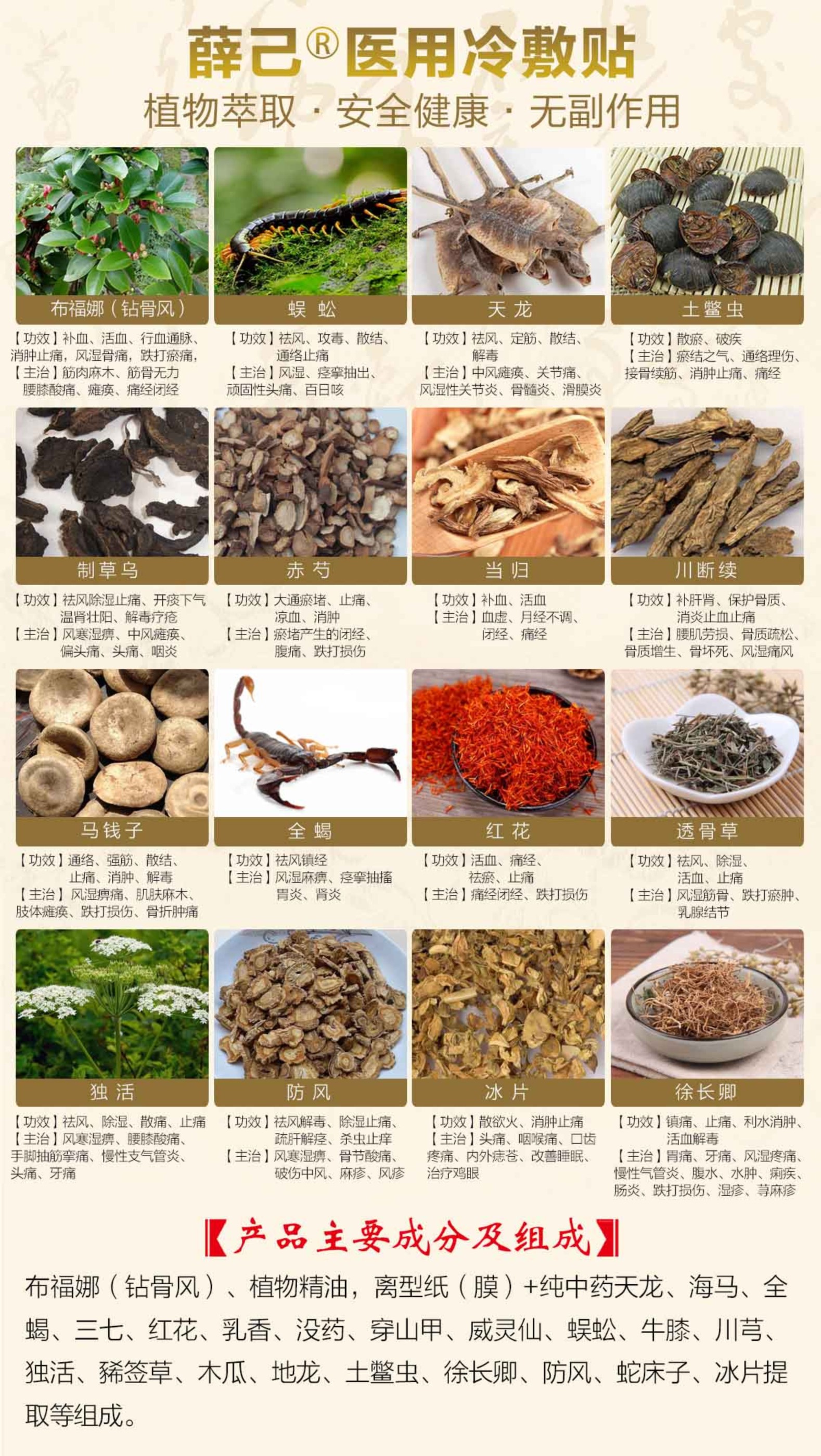膏藥圖片/膏藥樣板圖 (2)