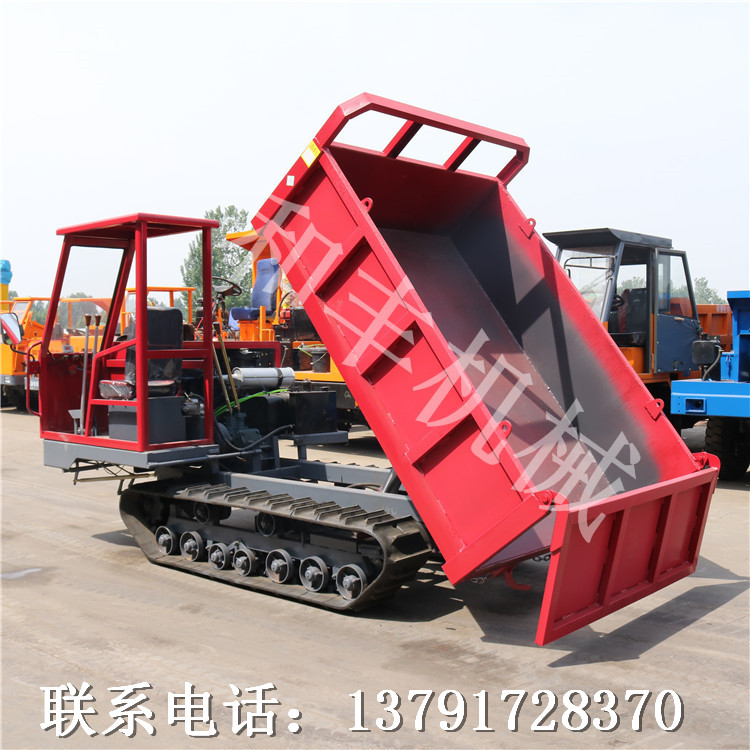 履帶四不像車圖片/履帶四不像車樣板圖 (3)
