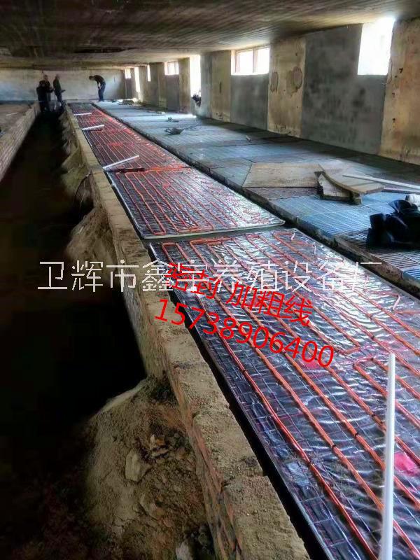 豬場專用養(yǎng)殖電地暖 豬場保溫設(shè)備圖片/豬場專用養(yǎng)殖電地暖 豬場保溫設(shè)備樣板圖 (3)