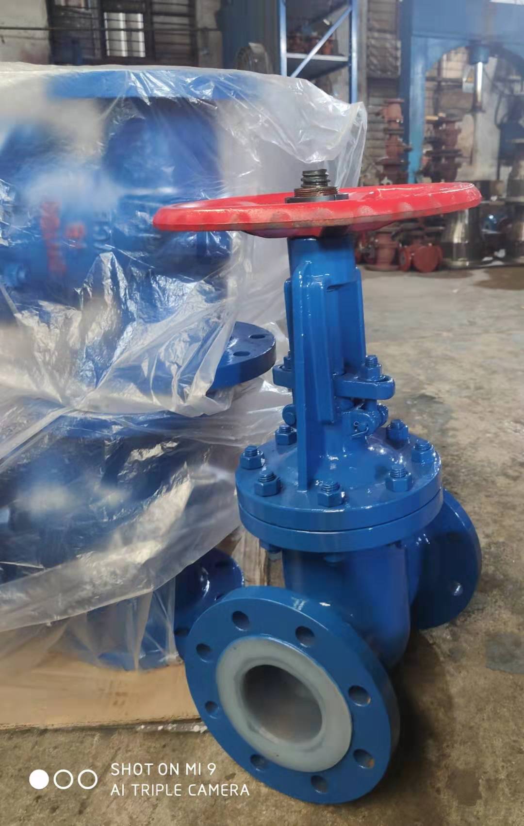 襯氟閘閥圖片/襯氟閘閥樣板圖 (2)