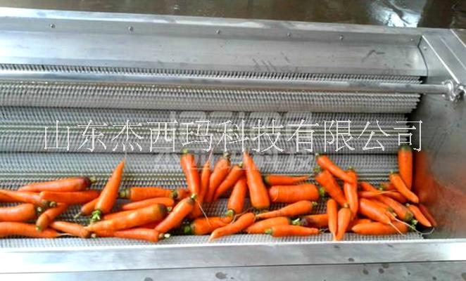 蔬菜清洗機圖片/蔬菜清洗機樣板圖 (1)