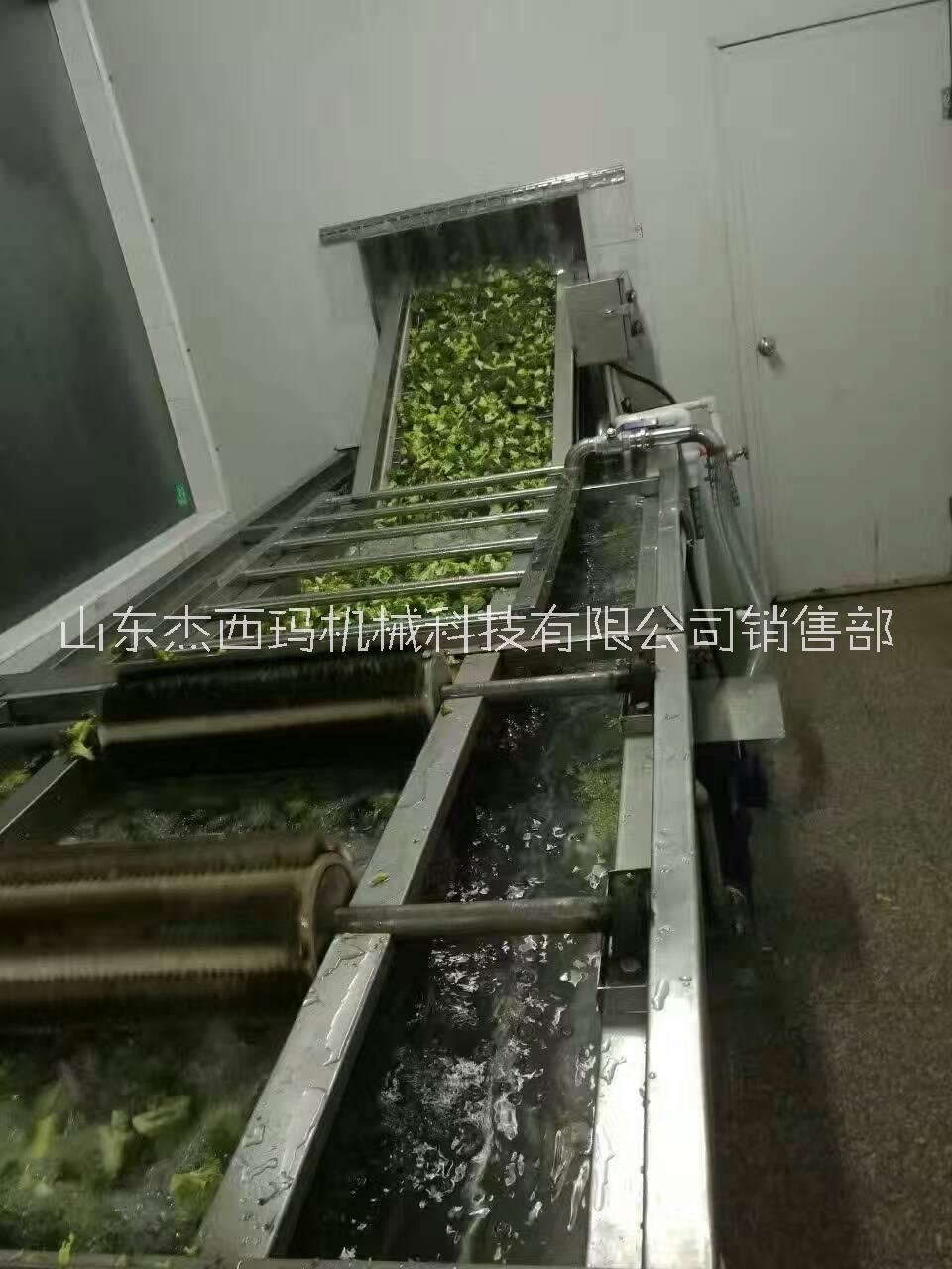 紅棗清洗機流水線圖片/紅棗清洗機流水線樣板圖 (3)