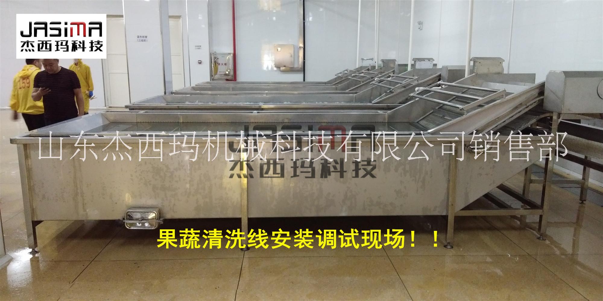 藍(lán)莓水果清洗機(jī) 葡萄清洗機(jī)圖片