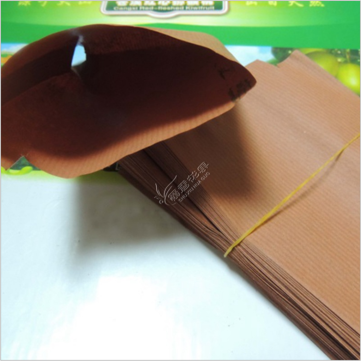 紅陽(yáng)獼猴桃圖片/紅陽(yáng)獼猴桃樣板圖 (2)