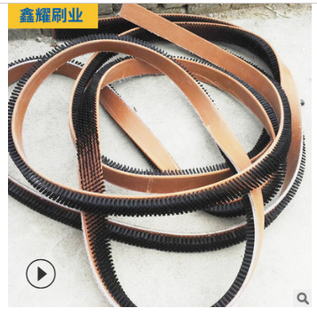 環(huán)形毛刷圖片