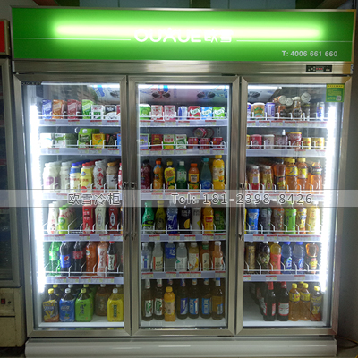 湖南便利店飲料展示柜哪一種牌子好