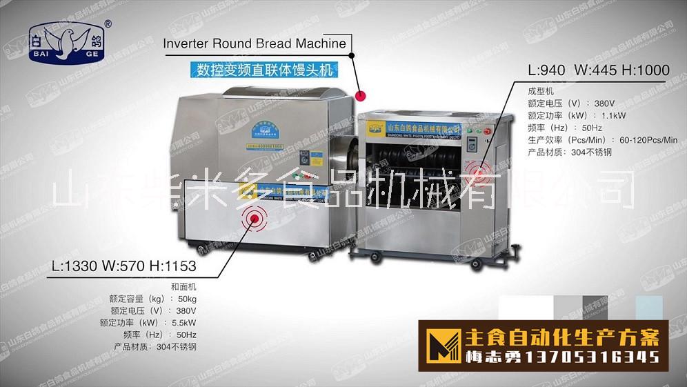 白鴿和面成型一體饅頭機(jī)圖片