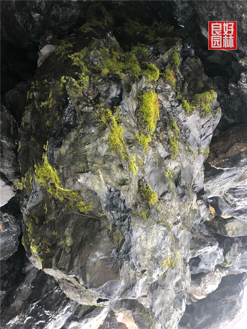 野山石圖片/野山石樣板圖 (3)