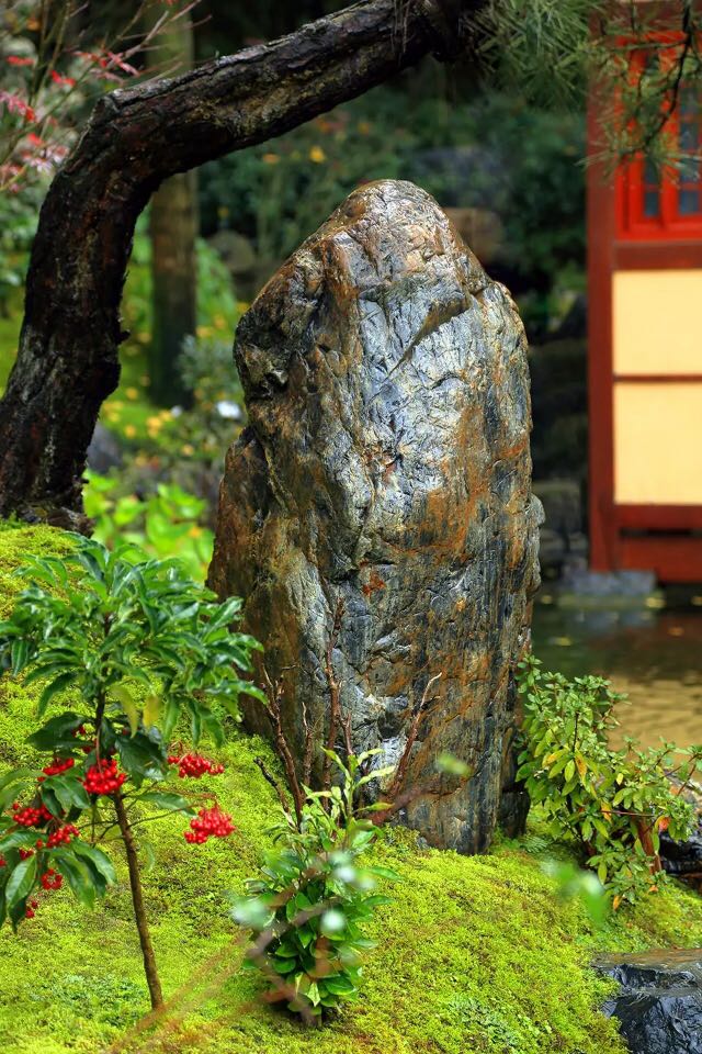 造景圖片/造景樣板圖 (1)