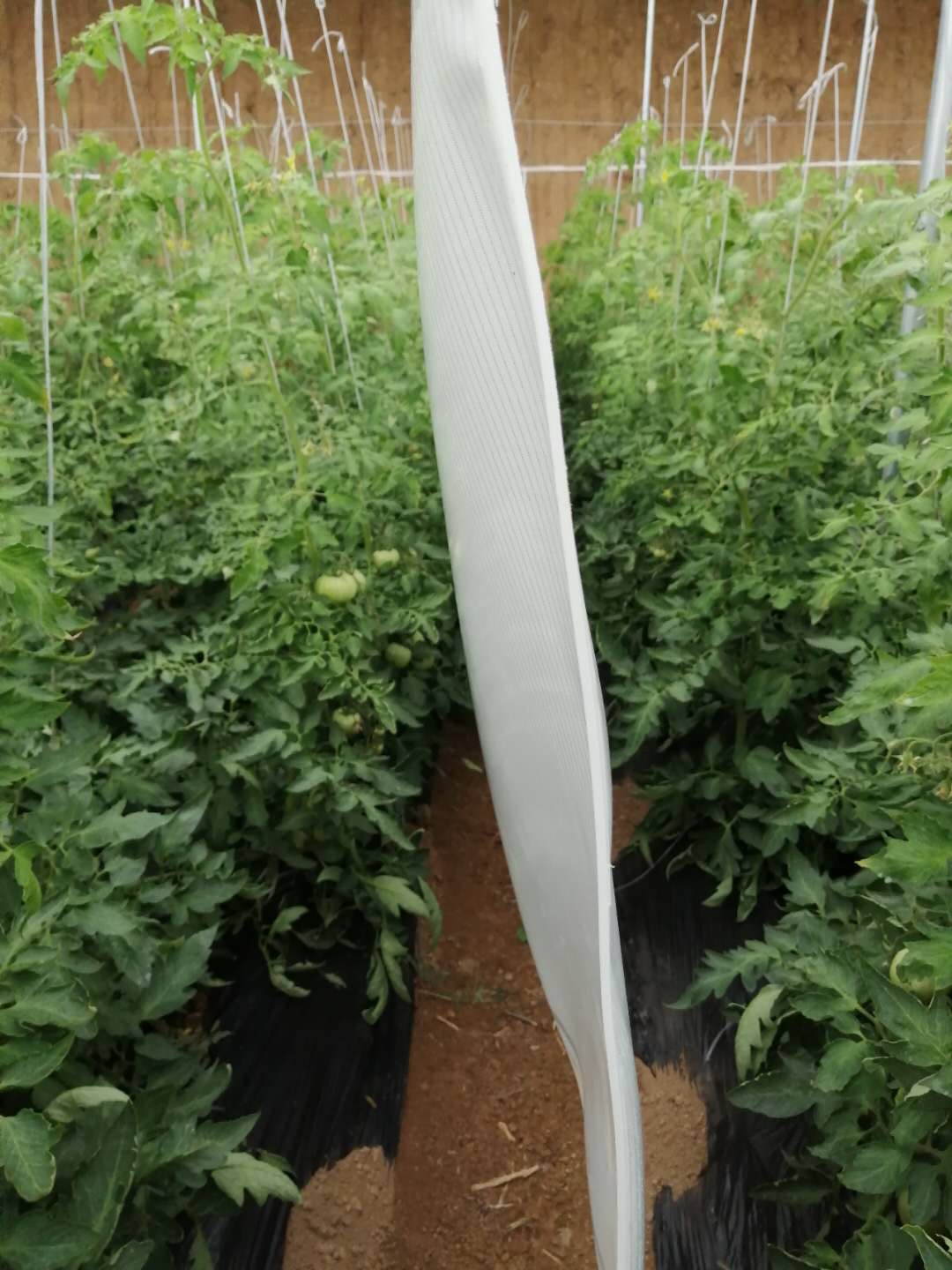 輻射加熱布廠家圖片/輻射加熱布廠家樣板圖 (3)