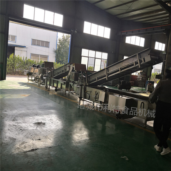 蔬菜加工流水線，果蔬加工清洗線圖片/蔬菜加工流水線，果蔬加工清洗線樣板圖 (4)