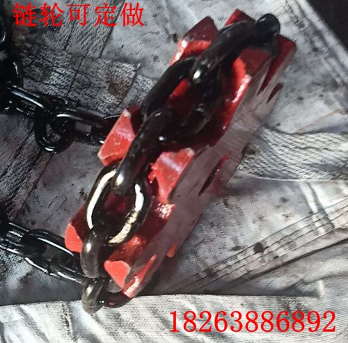 提升機圓環(huán)鏈條圖片/提升機圓環(huán)鏈條樣板圖 (2)