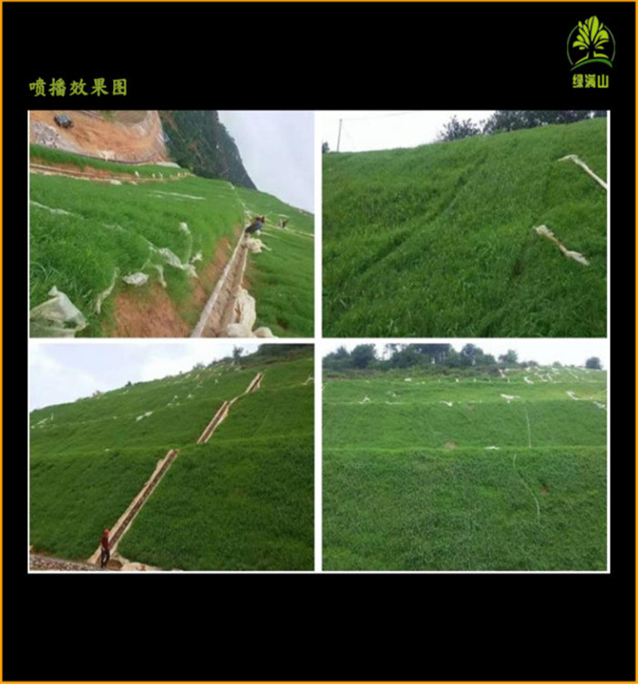 噴播機(jī)參數(shù)圖片