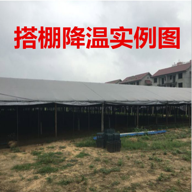 黑銀布圖片/黑銀布樣板圖 (2)