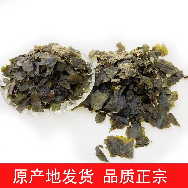 貴州余慶小葉苦丁茶發(fā)酵原葉圖片/貴州余慶小葉苦丁茶發(fā)酵原葉樣板圖 (4)