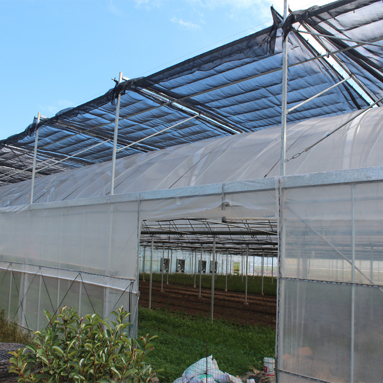 玻璃溫室圖片/玻璃溫室樣板圖 (1)