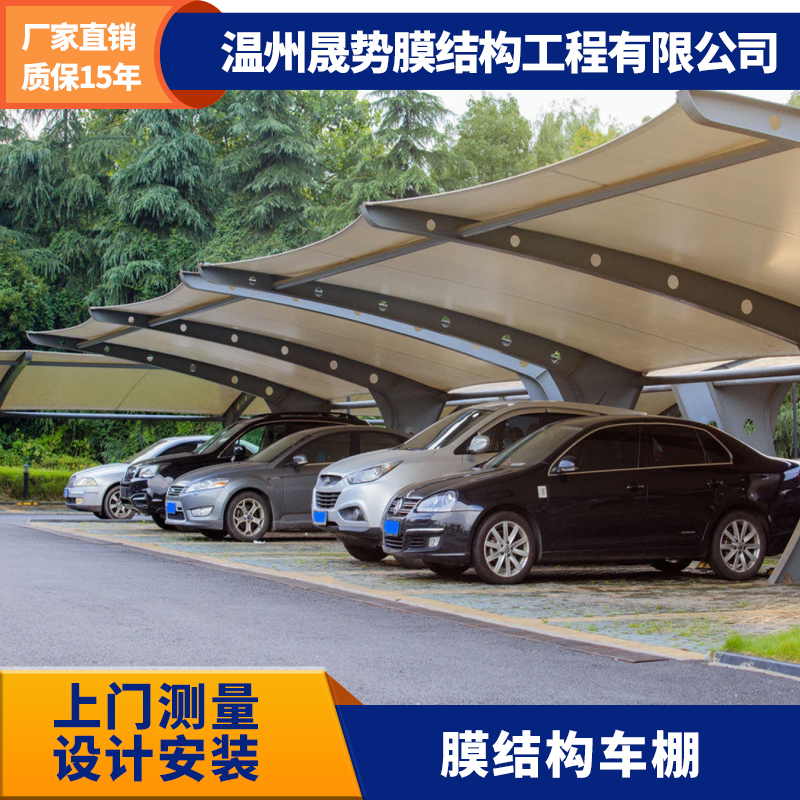 汽車雨棚圖片/汽車雨棚樣板圖 (1)