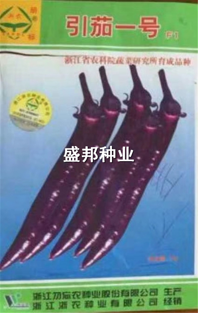 線茄嫁接苗 綠皮燈泡茄銷售