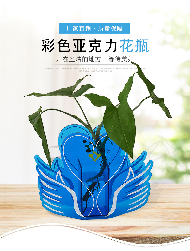 亞克力牙刷架圖片/亞克力牙刷架樣板圖 (3)
