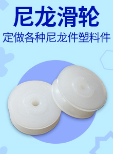 PA6滑輪圖片