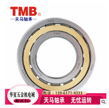 常州市廠家直銷TMB圓柱滾子軸承 天馬軸承價(jià)格 滾子軸承供應(yīng)商