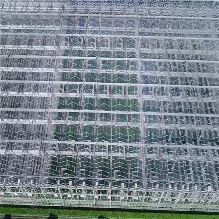 鋼結(jié)構(gòu)玻璃大棚造價 溫室生態(tài)園圖片/鋼結(jié)構(gòu)玻璃大棚造價 溫室生態(tài)園樣板圖 (3)