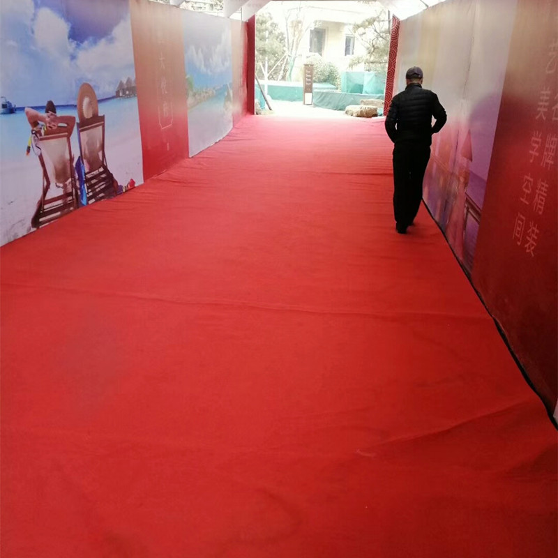 平面展覽地毯圖片/平面展覽地毯樣板圖 (2)