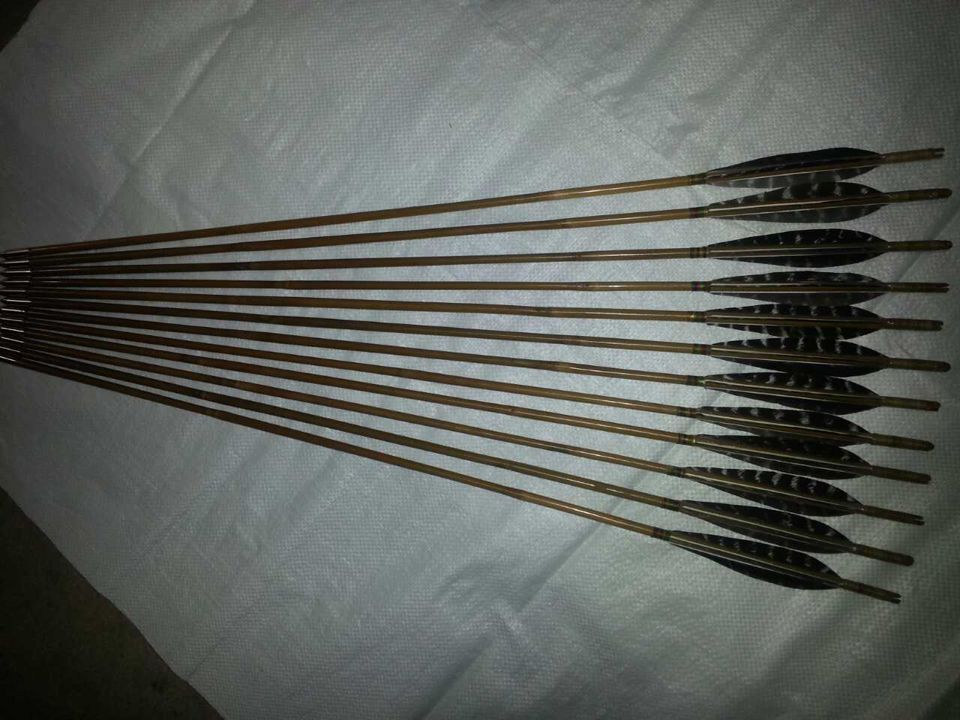 福建裝飾箭品質(zhì)保證  條紋羽