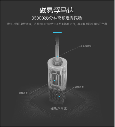 聲波電動牙刷圖片/聲波電動牙刷樣板圖 (4)