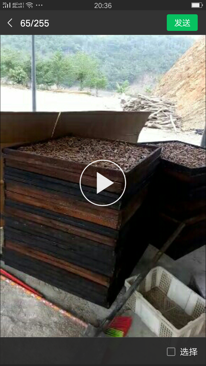 剁椒魚干圖片/剁椒魚干樣板圖 (4)
