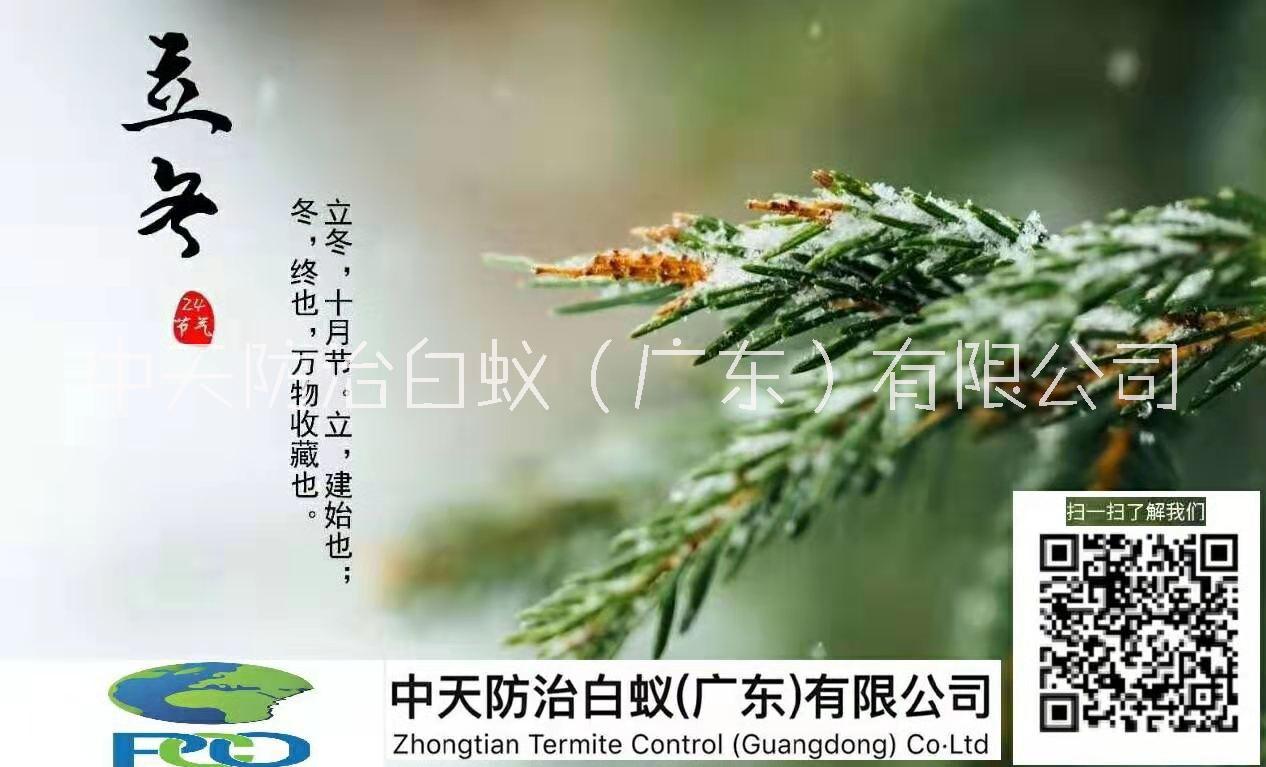 广州市广州白蚁防治中心 灭杀白蚁公司厂家白蚁防治中心 广州白蚁防治中心 灭杀白蚁公司